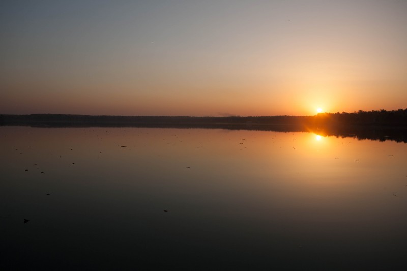 pic4412154.jpg
