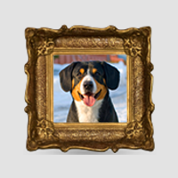 Верстка главной страницы питомника