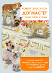 Догмастер