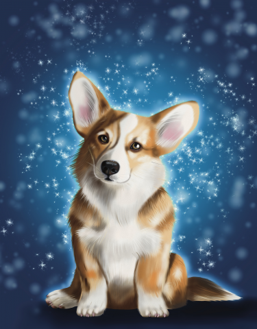 Реализм корги