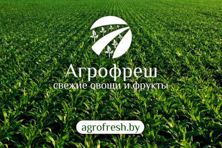 Новостной сайт для оптовой компании