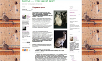 Корниш-рекс: бархатная зверушка