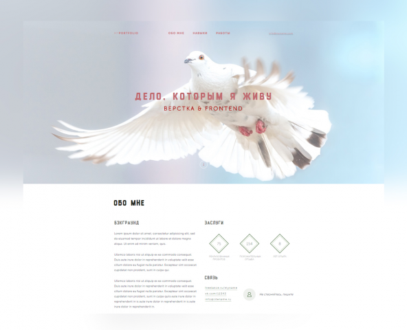 portfolio