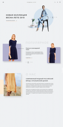 Concept web design e-store
