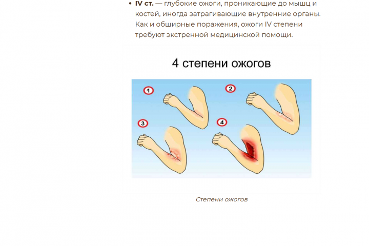 Медвежий жир при ожогах