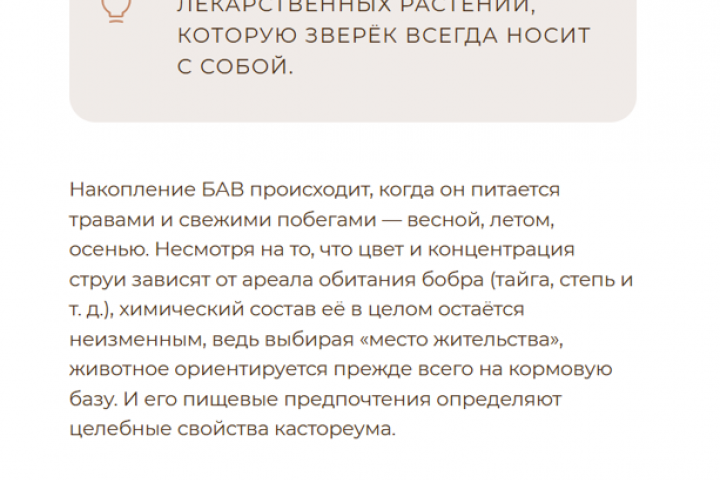 Химический состав бобровой струи