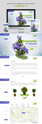Дизайн сайта, продажа растения "РОЗМАРИН"