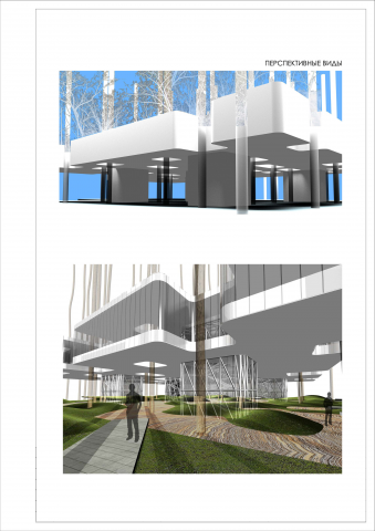 Проект досугового центра. Концепт