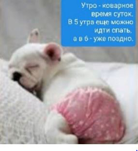 Текст для сайта о здоровом образе жизни