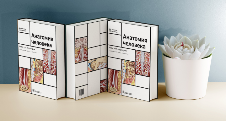 Разработка обложки для атласа