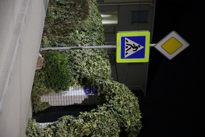 Зелёный забор в центре