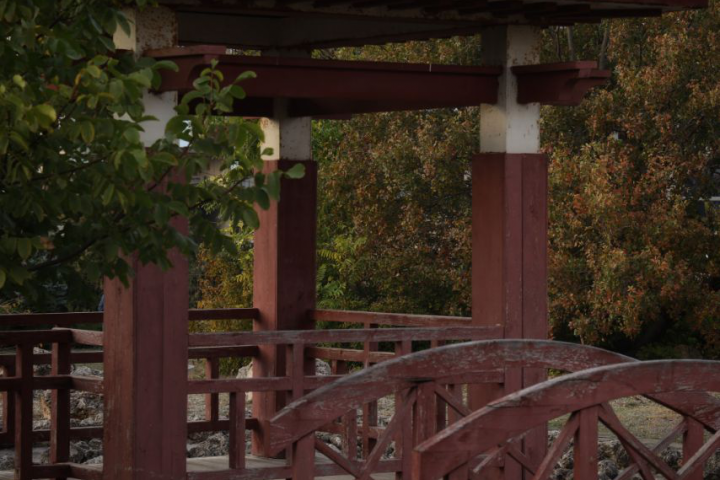 Кусочек Японии