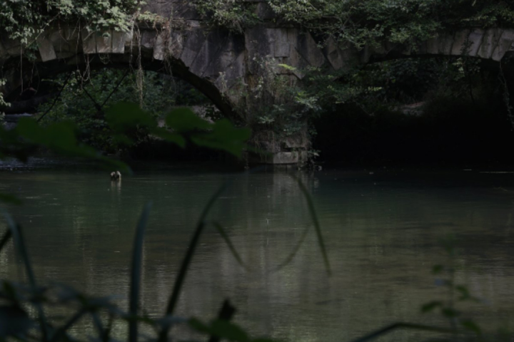 Мост в никуда