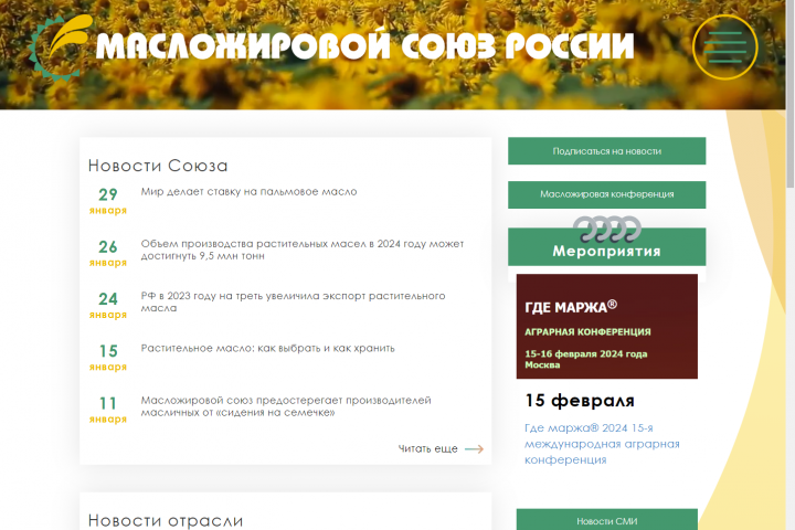 Создание сайта МЖСР