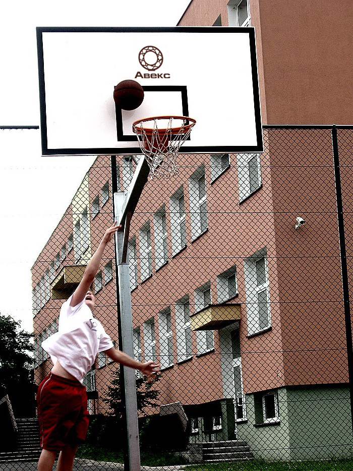 pic1974815.jpg
