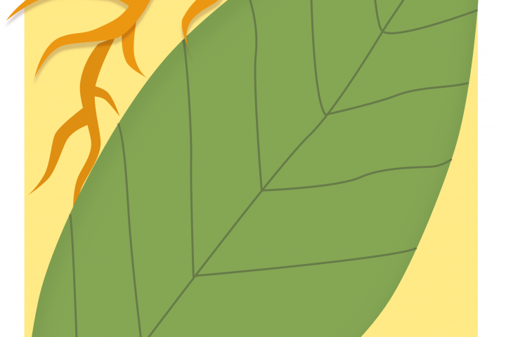 Анимированный постер "Твори!"