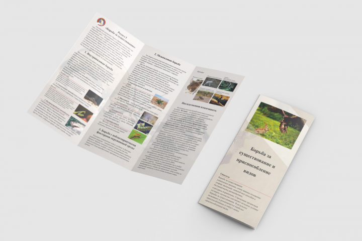 Буклет экология