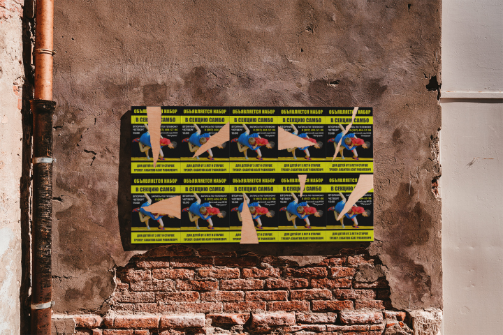 Листовка самбо