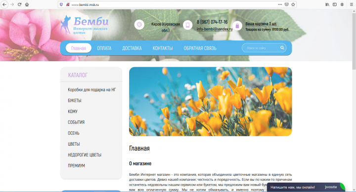Доработка функционала интернет-магазина на Yii