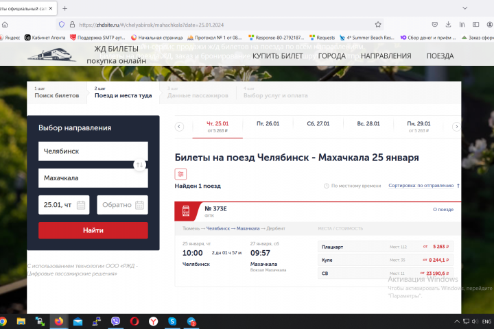 Доработка сайта покупки жд билетов.