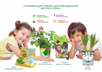 Работа 2699210