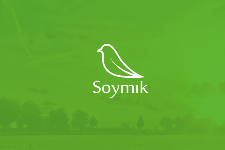 Soymik