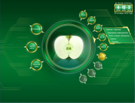 Заставка сайта