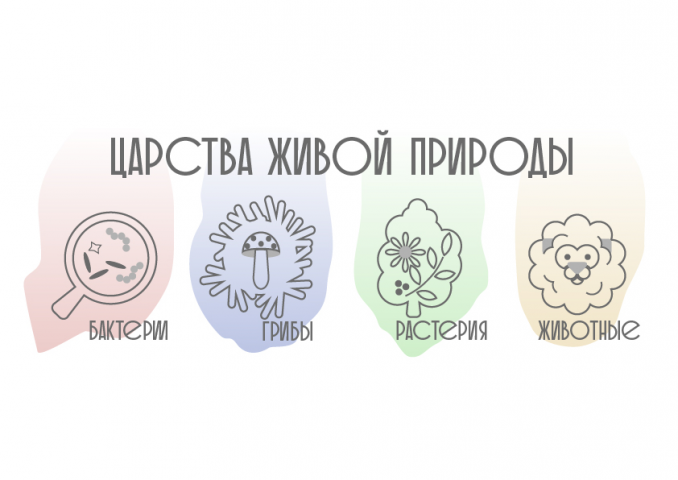 Царства живой природы
