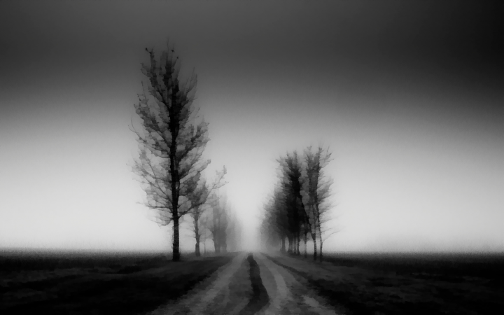 Туман BW