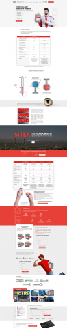  Landing Page    Amo CRM