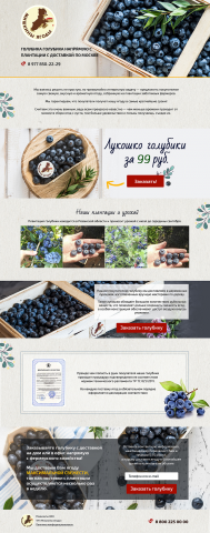 Landing Page "Продажа ягод"