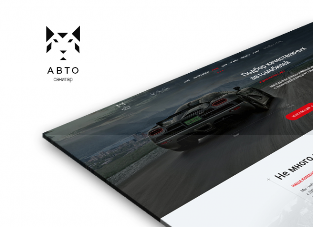 Авто-санитар