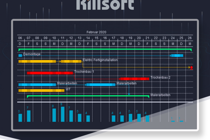 Rillsoft Project ( П.О. )