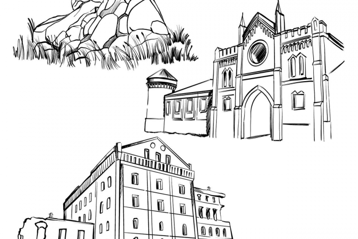 �����������