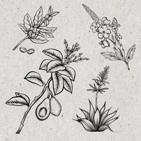 �������� � �������