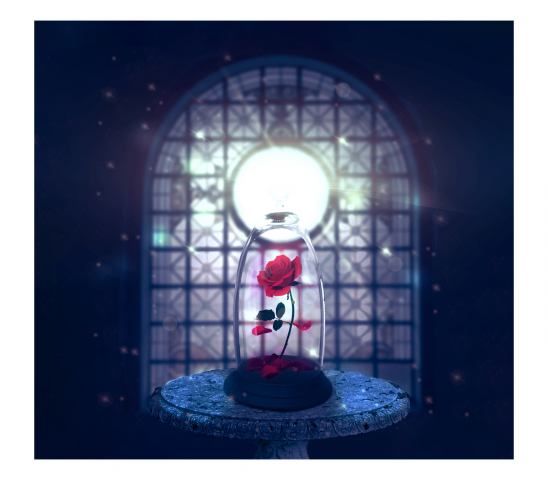 Коллажирование фотографий(заколдованная роза)