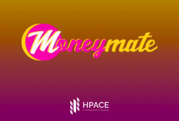 Вёрстка и программирование Landing-Page для MoneyMate