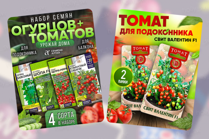 Инфографика