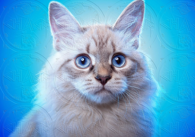 ДОБАВЛЕНИЕ ВОДЯНЫХ ЗНАКОВ