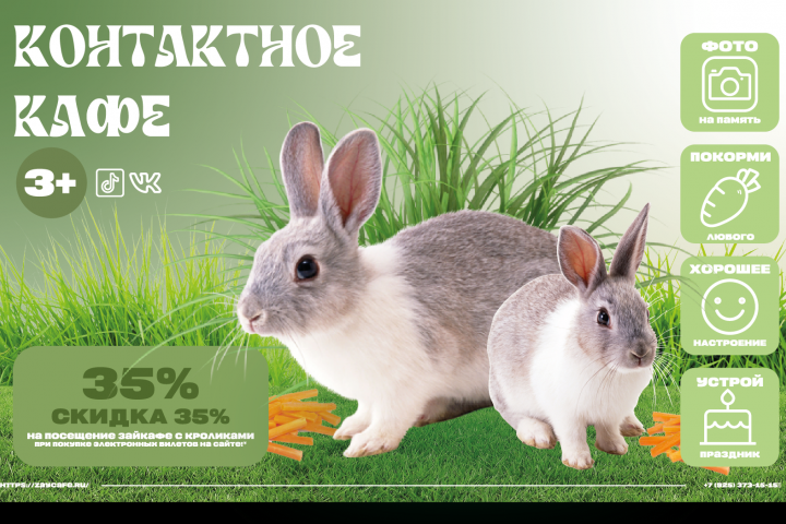 Веб-баннер для контактного кафе