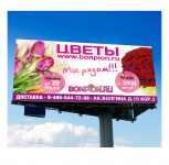 Борд БонПрион