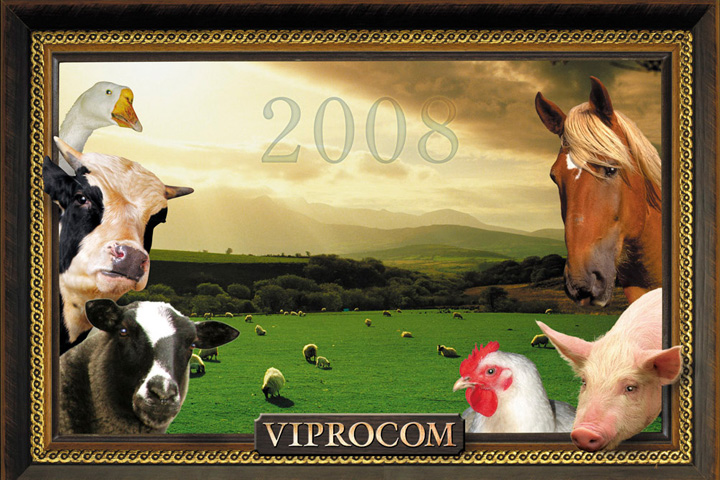 Квартальный календарь компании "Viprocom"