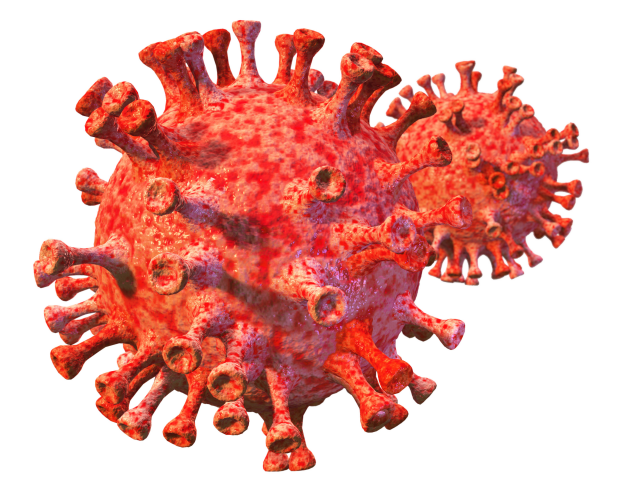 Coronavirus