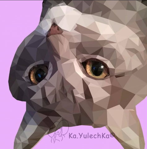 Полигональный кот