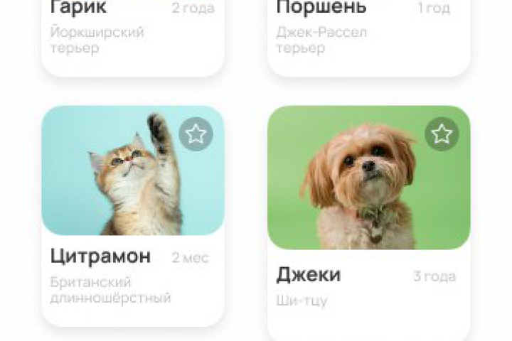 Дизайн приложения для питомника.