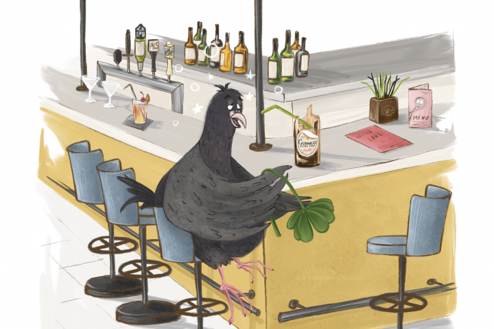 Вечеринка удалась