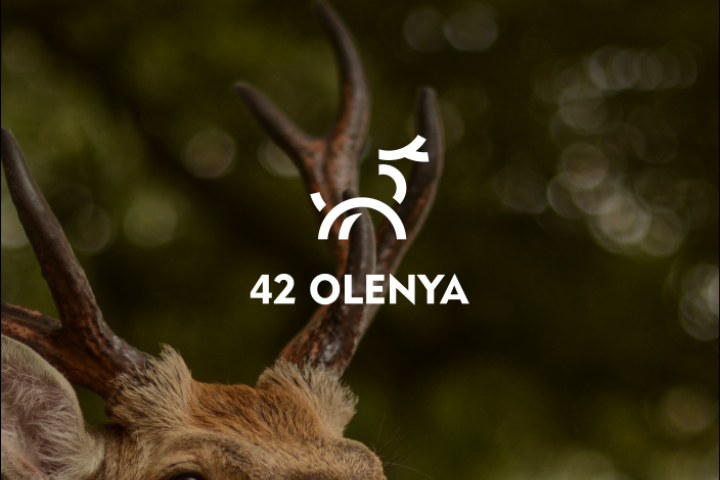 Логотип и фирменный стиль