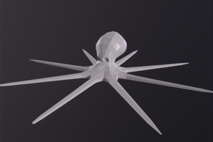 Octopus