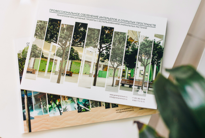 Дизайн полиграфической продукции - верстка каталога