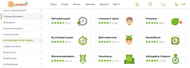 Отрисовка иконок на сайт